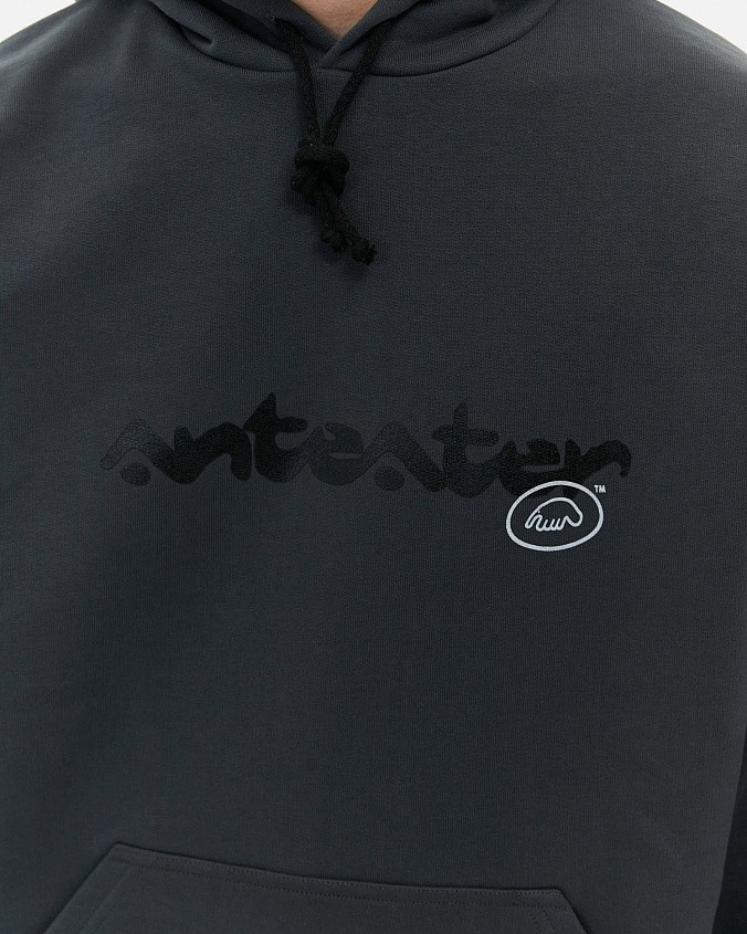 Толстовка Anteater Hoodie